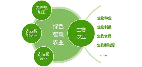 縣域經濟背景下國家級農業高新區的發展模式 以教育軟硬件研發為驅動
